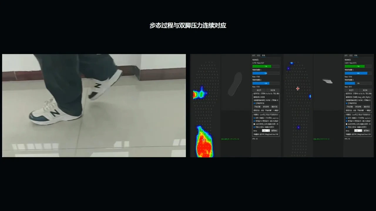 星枢智步鞋垫科研级软件与数据界面